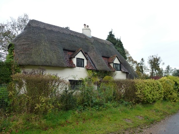 A thatched cottage in Much Hadham.