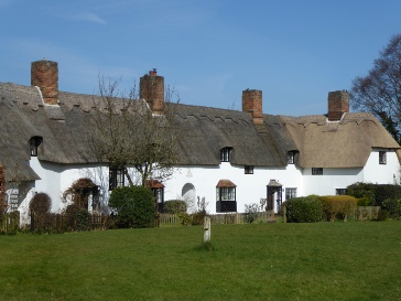 A row of thatched cottages.